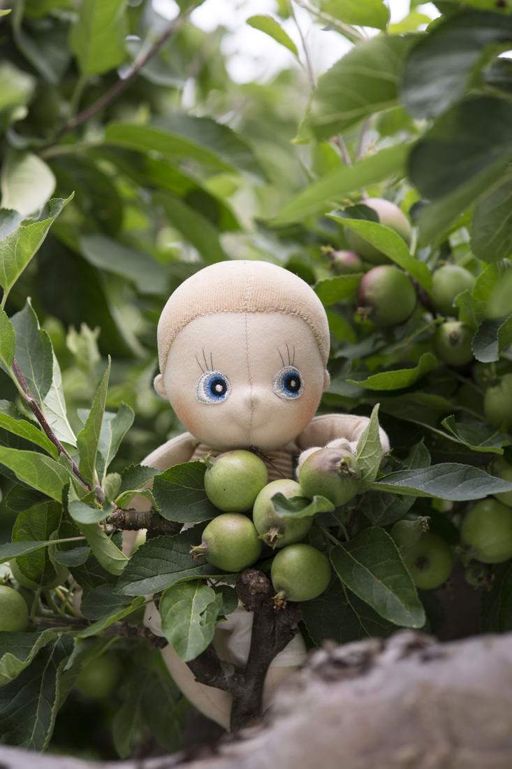 Rubens EcoBuds Aspen